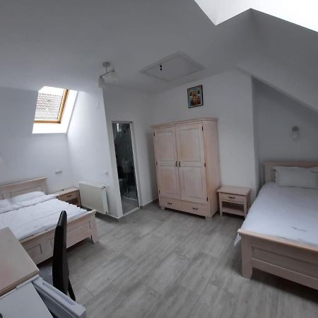 Casa De Oaspeti Maximilian 코들레아 외부 사진