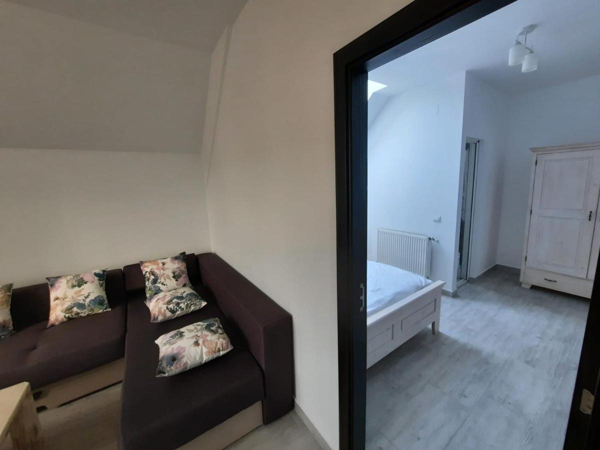 Casa De Oaspeti Maximilian 코들레아 외부 사진