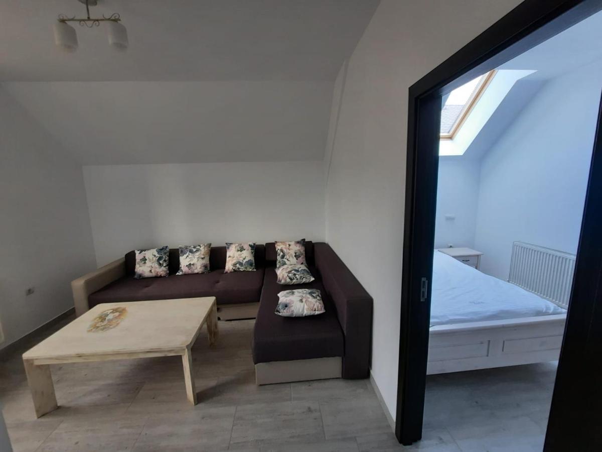 Casa De Oaspeti Maximilian 코들레아 외부 사진