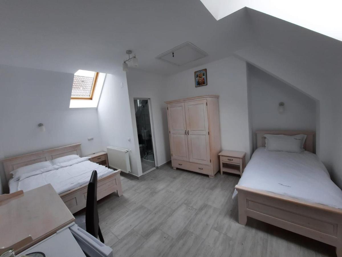 Casa De Oaspeti Maximilian 코들레아 외부 사진